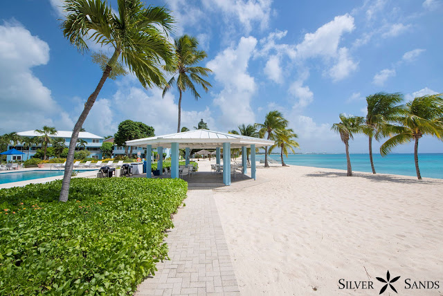 Silver Sands Condos Views for Quarantine and Freedom Front Row Seats to Our Gorgeous Beach.
