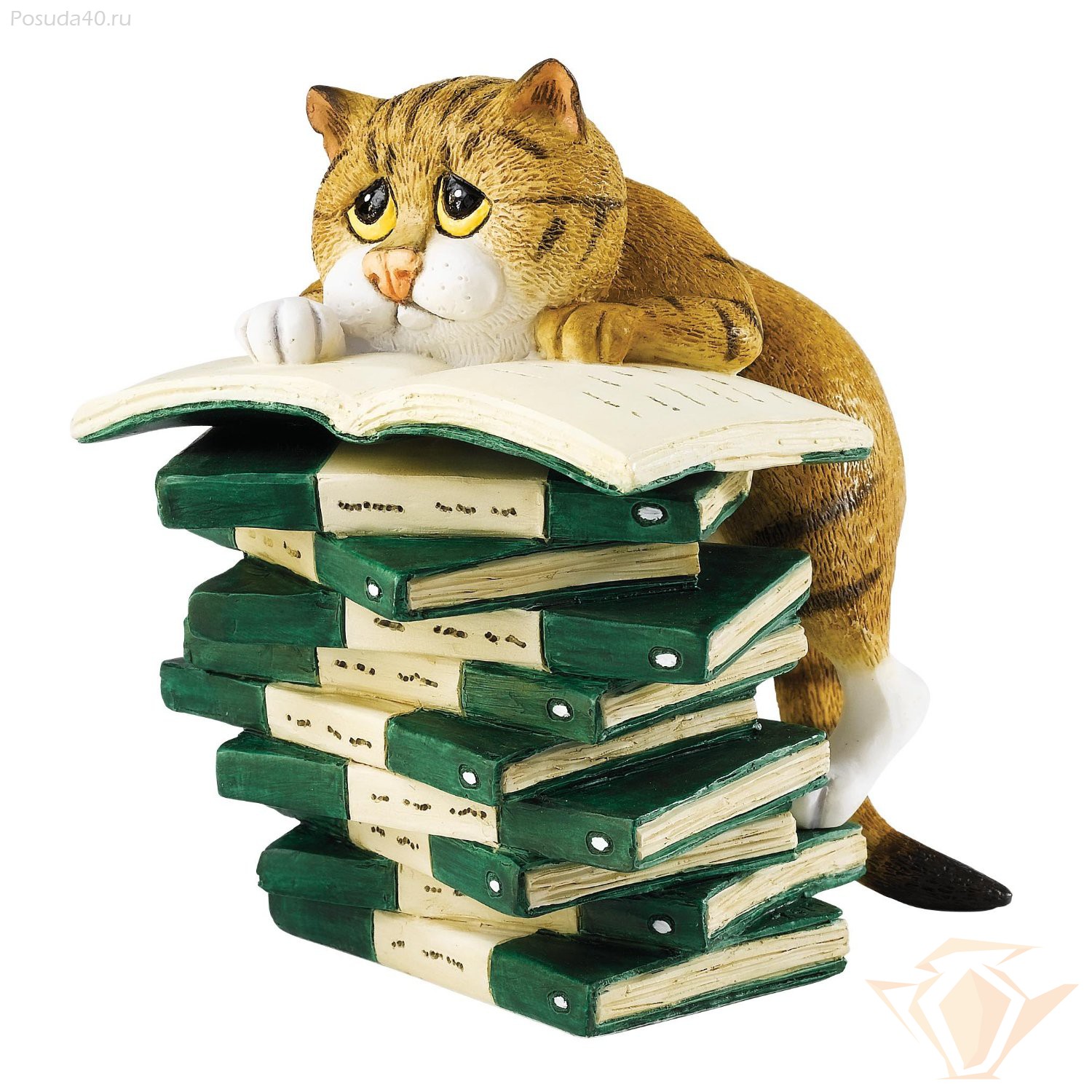 кот с книгой. кот читает. книги про кошек. кошка с книжкой. книги про кошек.