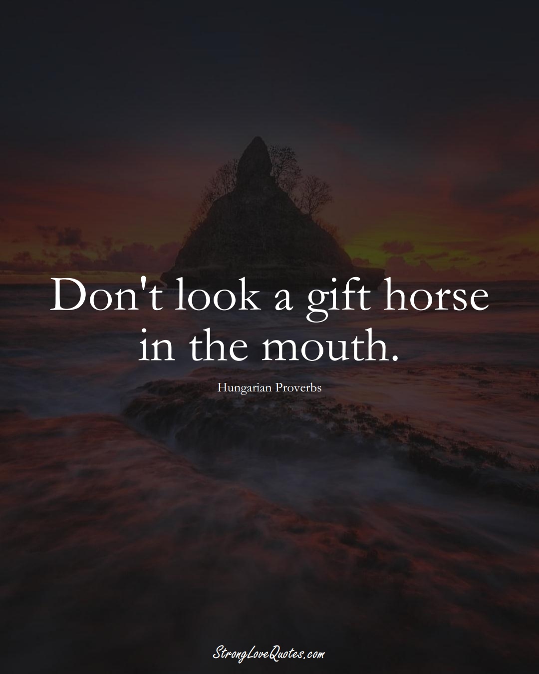 Don't look a gift horse in the mouth. (Hungarian Sayings);  #EuropeanSayings