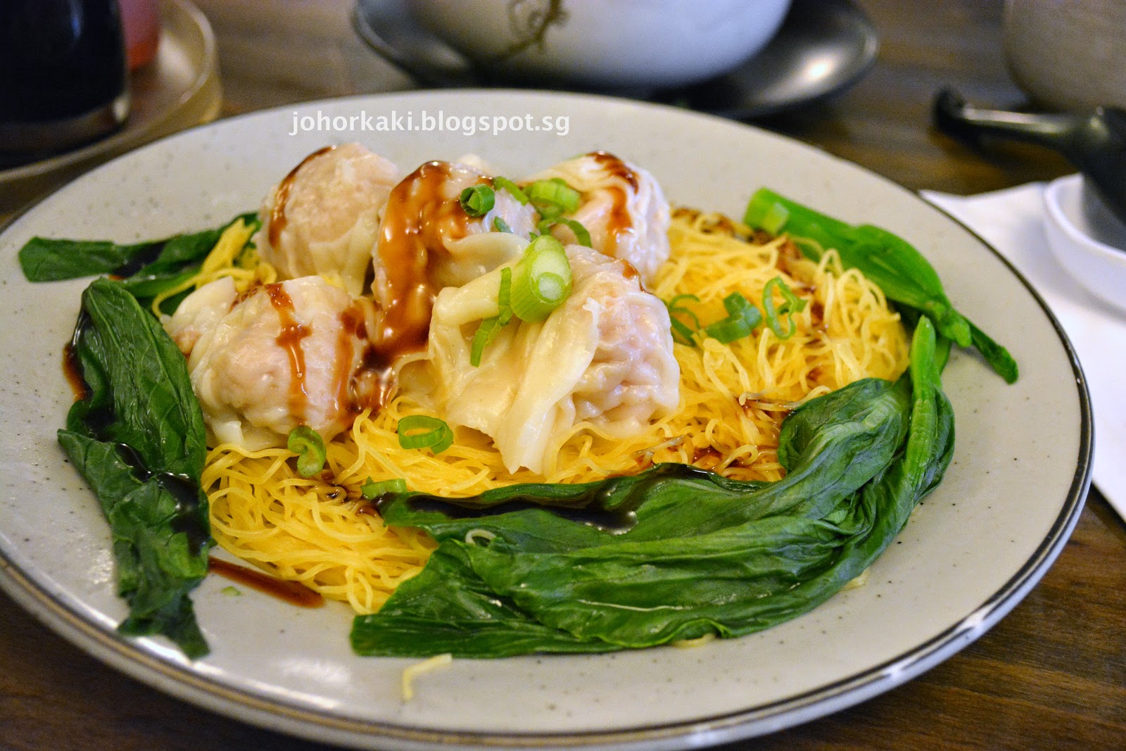 Noodle Village in NYC Chinatown New York City 粥麵軒 Tony Johor Kaki