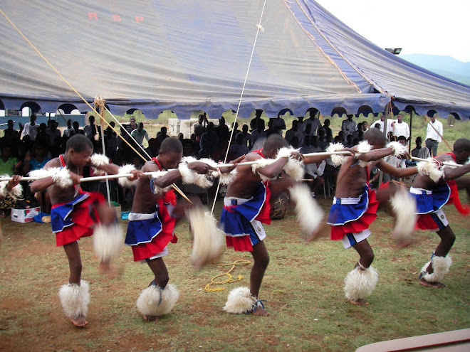 Swazi Chronicles: Data Collection
