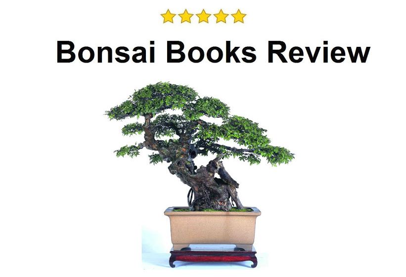 Your SEO optimized title