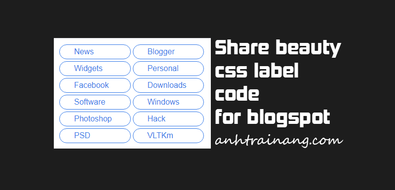 Share beauty css label code for blogspot