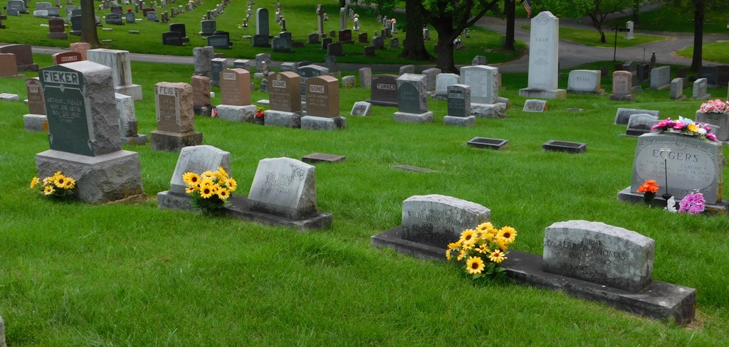 The Opulent Opossum May 2019