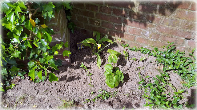 Eingepflanzt Schminkspiegel Beleuchtet