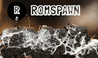 RomSpawn
