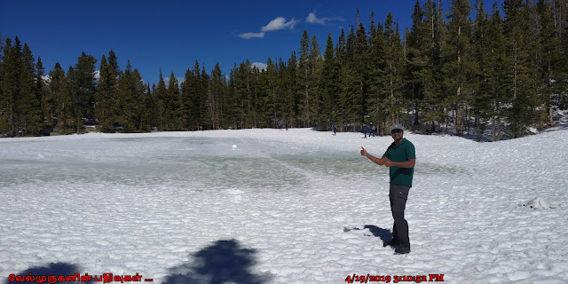 Rocky Mountains Nymph Lake