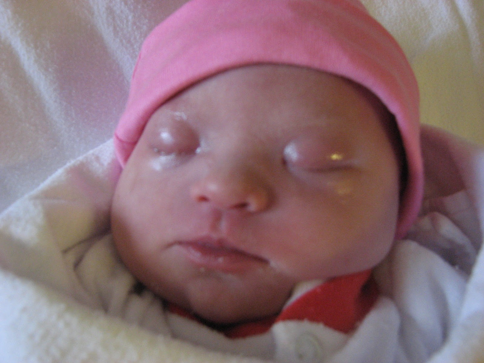 Rockin An Extra Chromosome To Blog Or Not To Blog