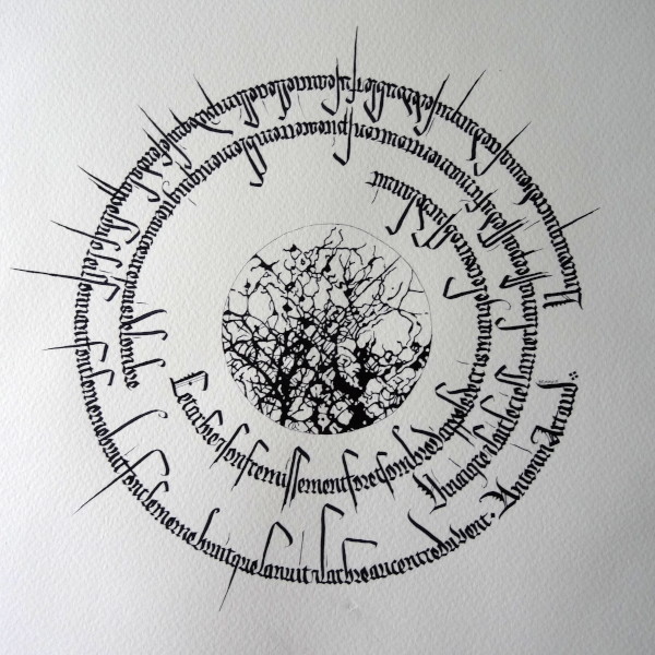 The shivering tree essay image