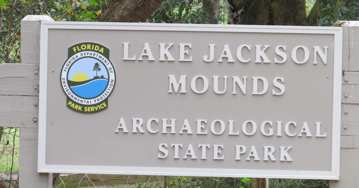 Florida Suncoast Birding Lake Jackson Tallahassee
