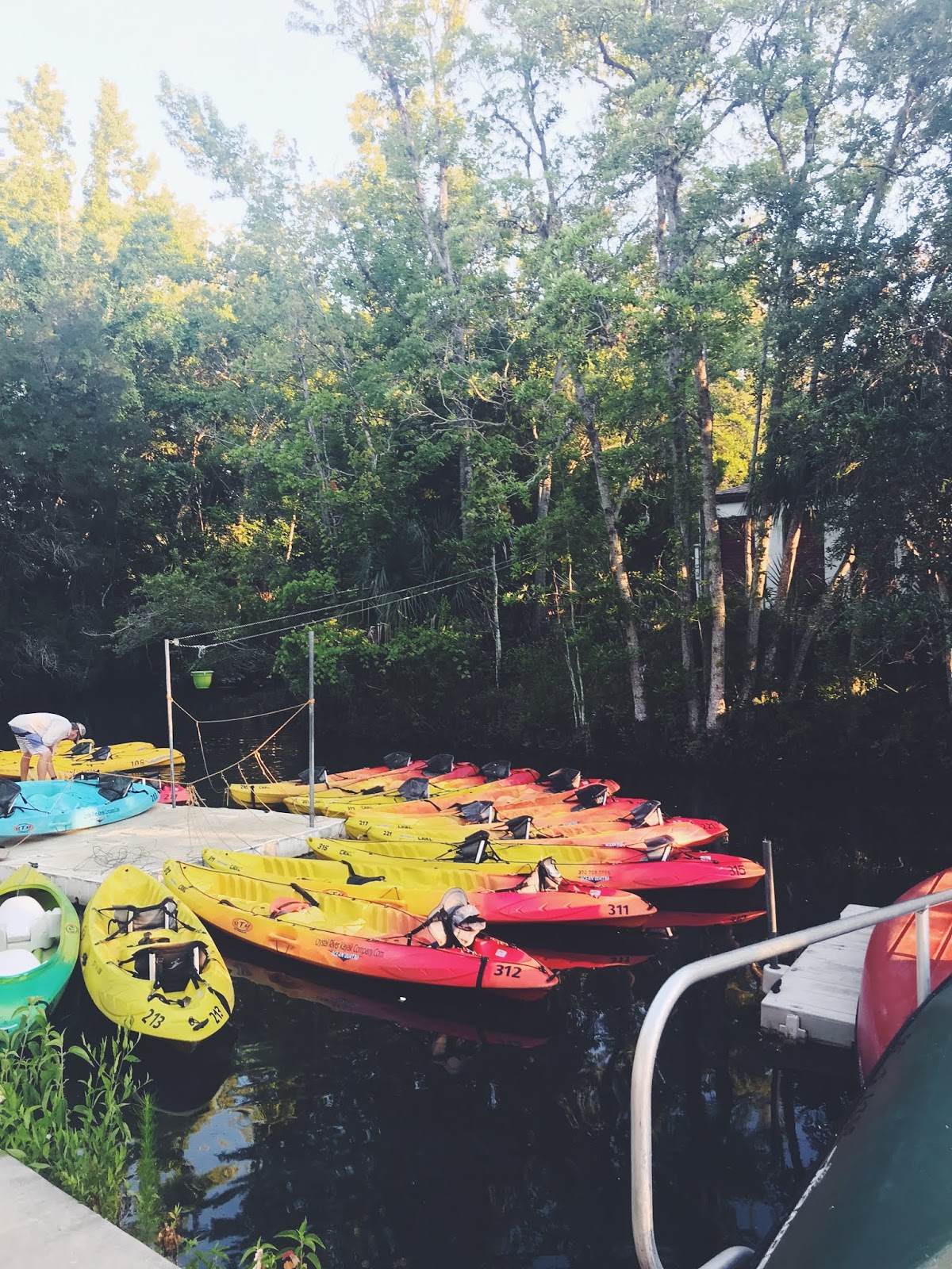 Making Restorations: Manatee Kayaking in Crystal River Florida