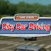 City Car Driving İndir – Full Türkçe