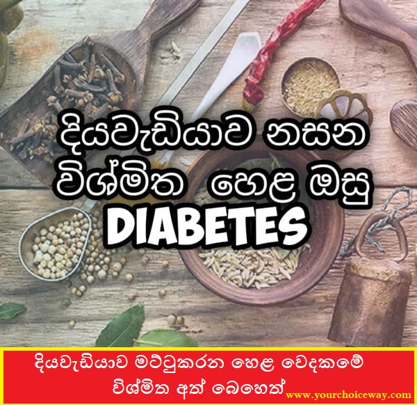 දියවැඩියාව මට්ටුකරන හෙළ වෙදකමේ විශ්මිත අත් බෙහෙත් ( Diabetes ) - Your Choice Way