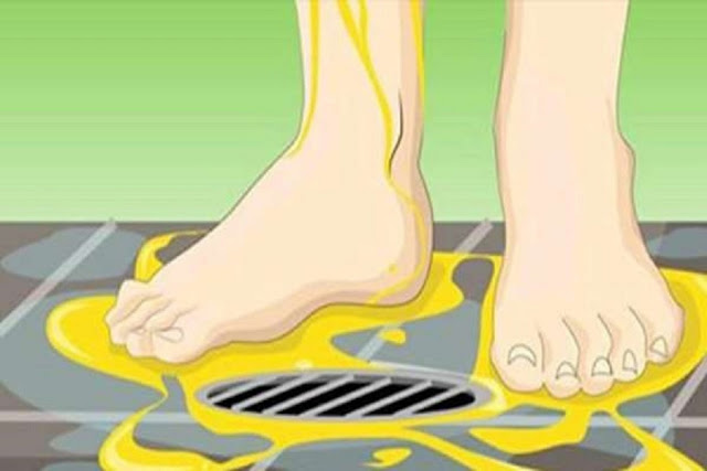 SABES LO QUE SUCEDE CUANDO ORINAS EN LA DUCHA NO LO VAS A CREER. ¡TODOS ESTÁN SORPRENDIDOS! SABES LO QUE SUCEDE CUANDO ORINAS EN LA DUCHA NO LO VAS A CREER. ¡TODOS ESTÁN SORPRENDIDOS!