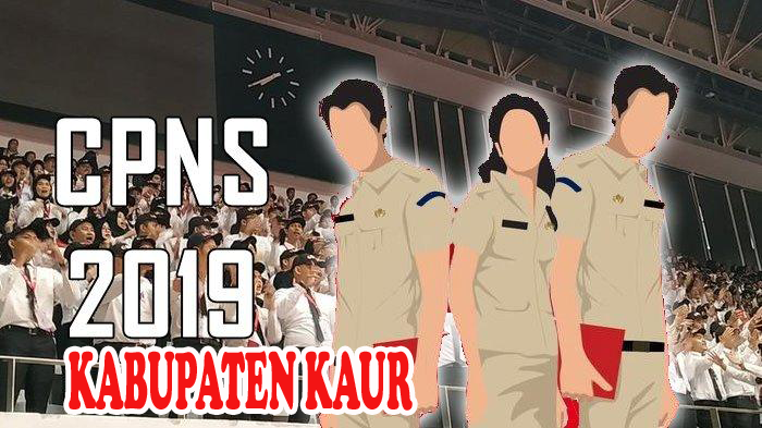 FORMASI CPNSD 2019 KABUPATEN KAUR tekno zeba