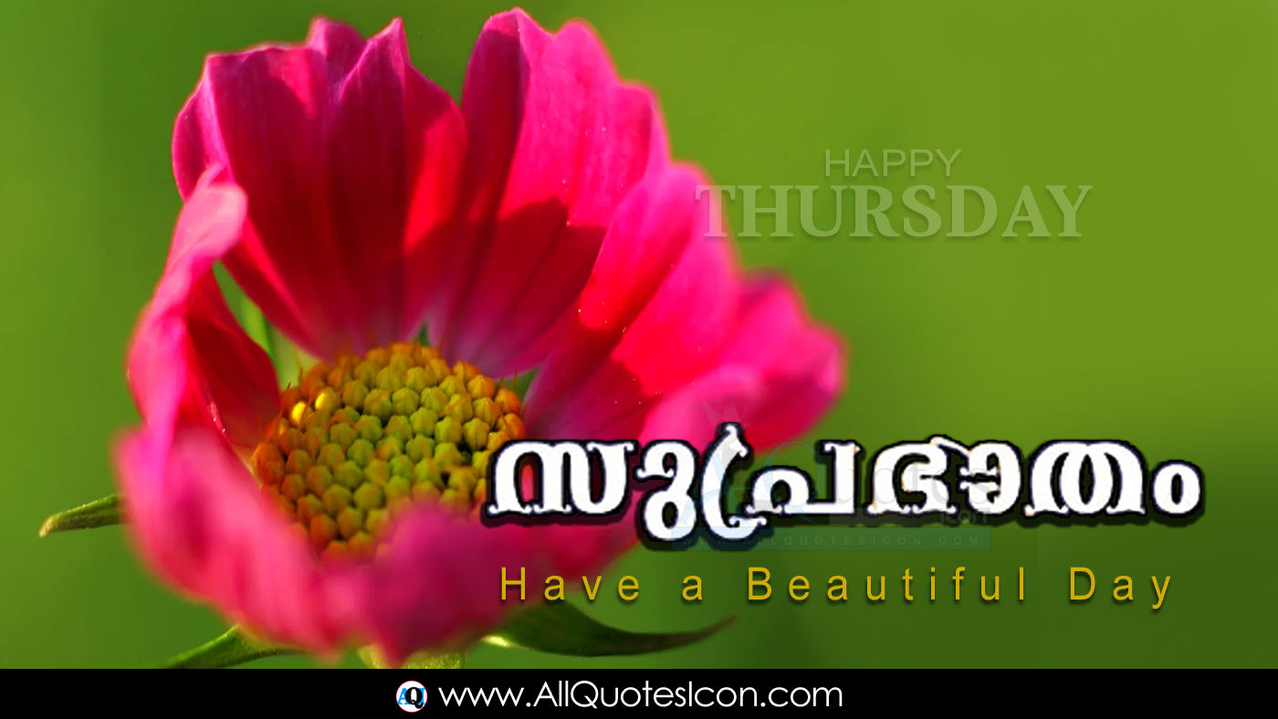 Featured image of post Good Morning Quotes In Malayalam Language / Make today so awesome yesterday gets jealous.
