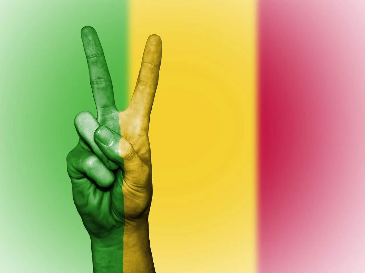 Profil negara Mali