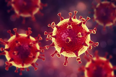 Coronavirus - Preguntas y Medidas de Prevención