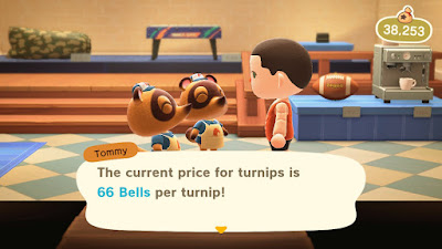 Animal Crossing Turnip Offer