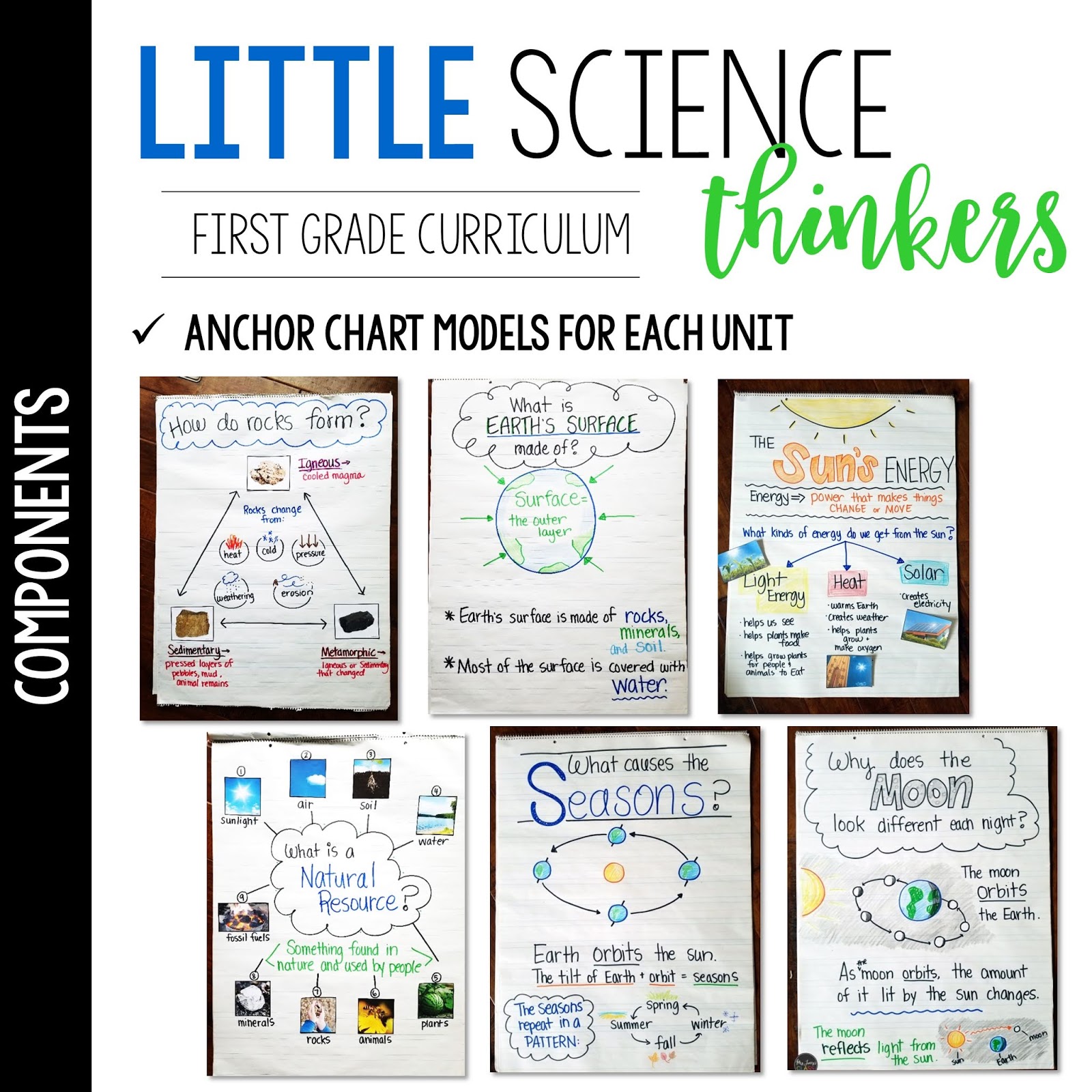 Little 1st Grade SCIENCE Thinkers! (First Grade Science) - Mrs. Jones's