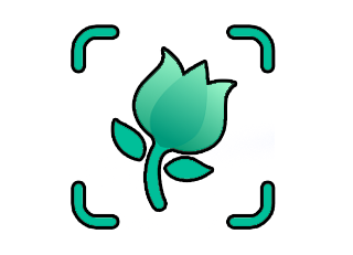 PictureThis Premium Apk PictureThis Premium Apk