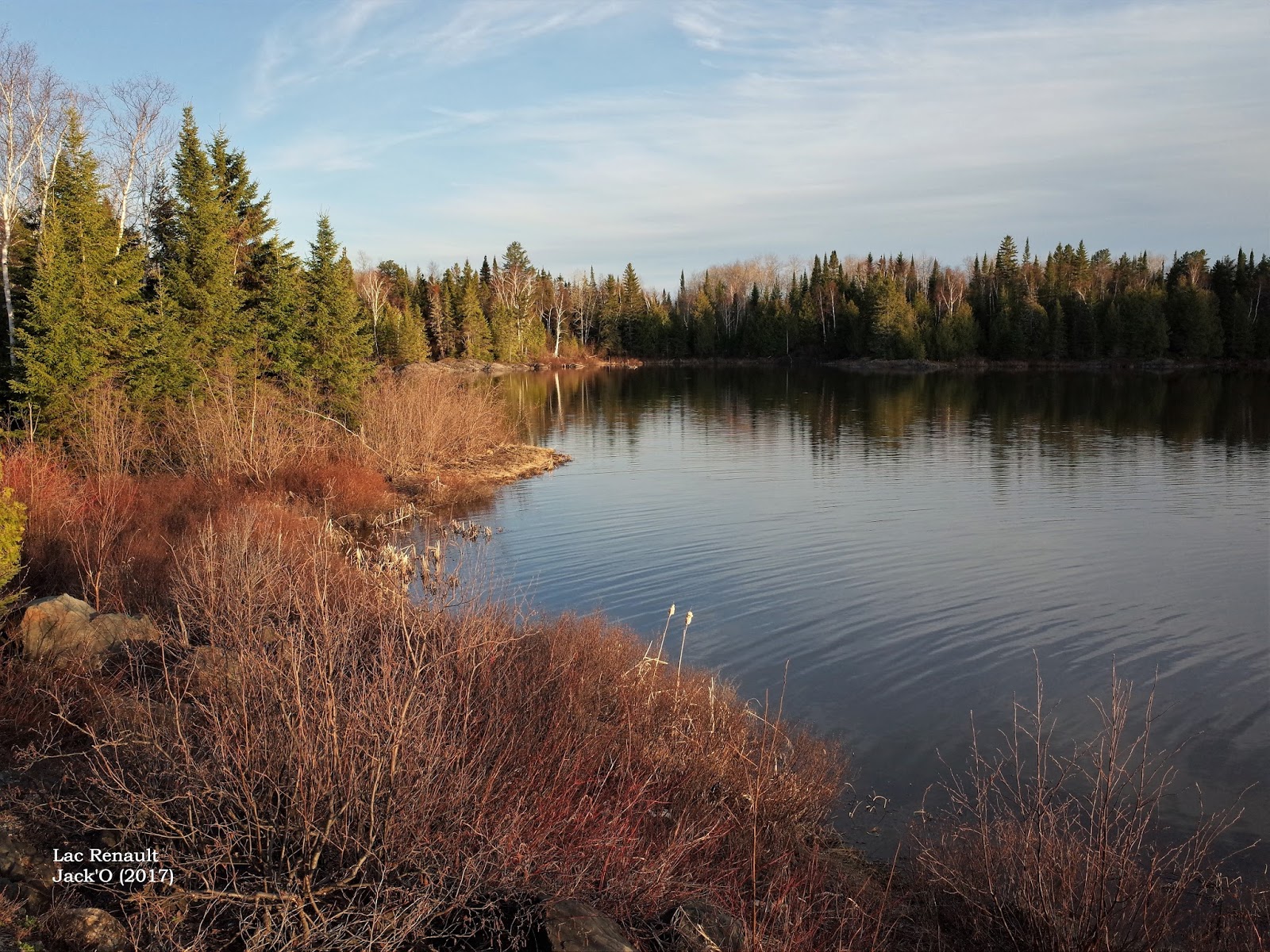 L'OEIL AU VERT LAC RENAULT (ROUYNNORANDA). 10 MAI 2017