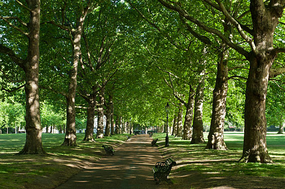 What is Baukultur and can it build humancentred habitats