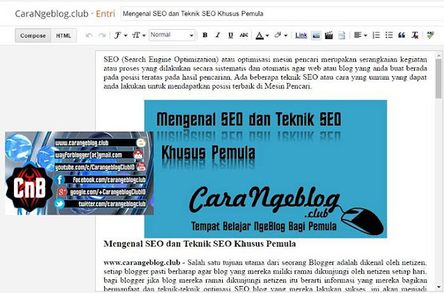 Editor Entri Blogger.com dan Fungsinya