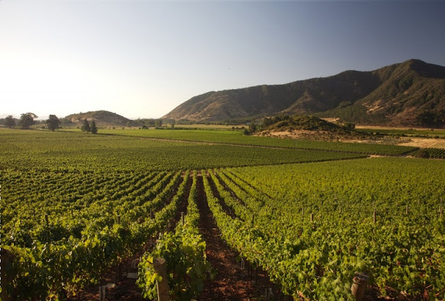 Conhecer a vinícola Concha Y Toro Conhecer a vinícola Concha Y Toro