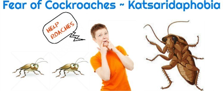 animalophobia: KATSARIDAPHOBIA | FEAR OF COCKROACH | FULL CAUSES AND
