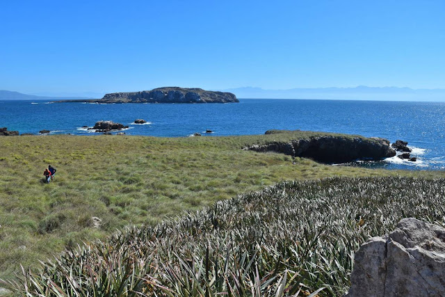 Sendero interpretativo en la Isla Larga.