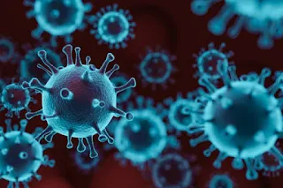 The Effects of Coronavirus on Education in Nigeria: The Negative and Positive
