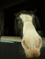 Why the long face?