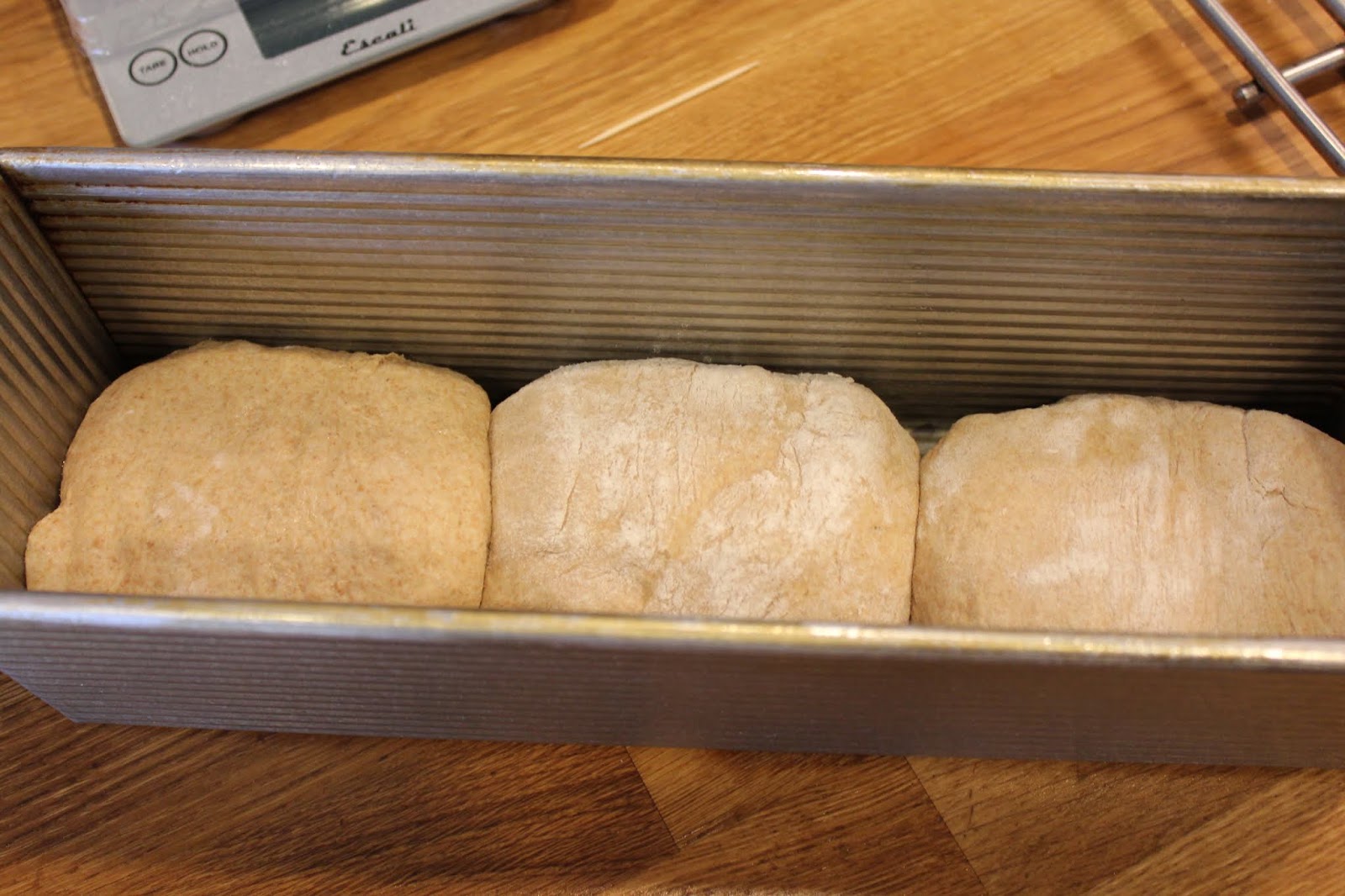 More Than Bread: 100% Whole Wheat/Grain Sandwich Bread 全麥/穀麵包