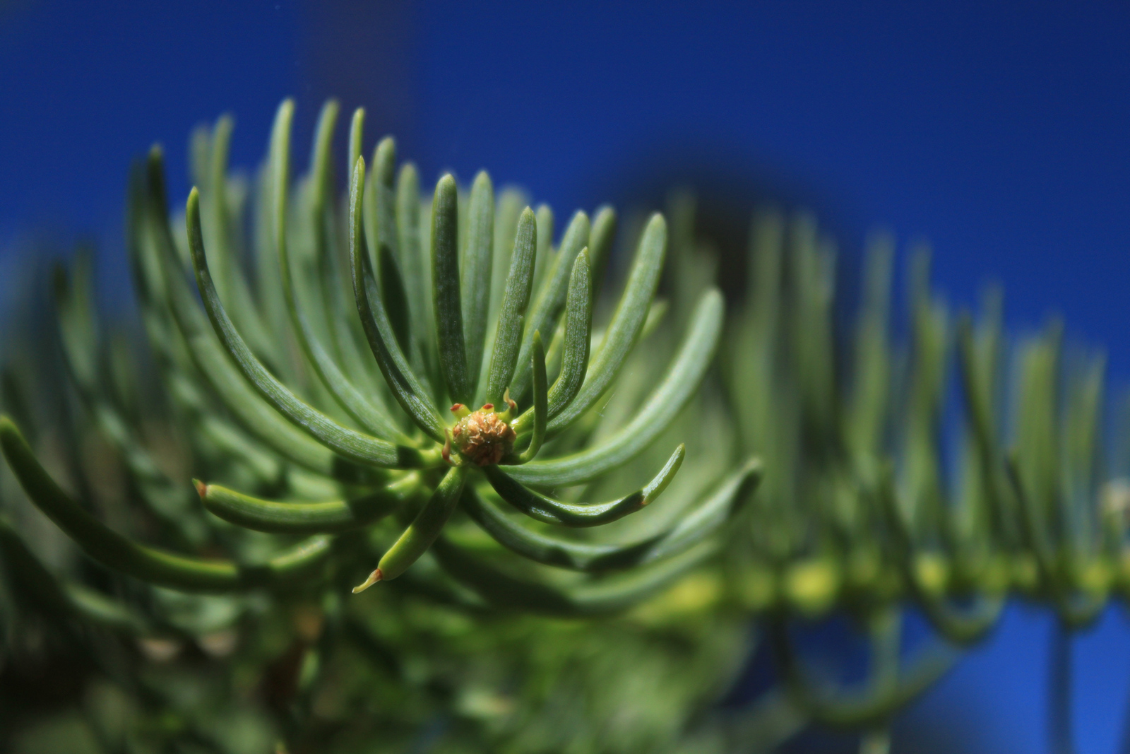 Out There: Walk Beside Me Out There: Walk Beside Me