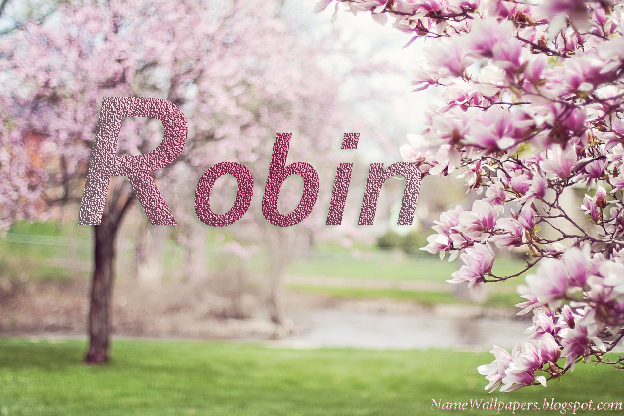 robin-name-wallpapers-robin-name-wallpaper-urdu-name-meaning-name