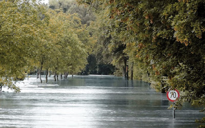 Jesús Clerico y Francisco Avendaño Graves inundaciones en Alemania - Efectos del calentamiento global del que la humanidad es responsable 1