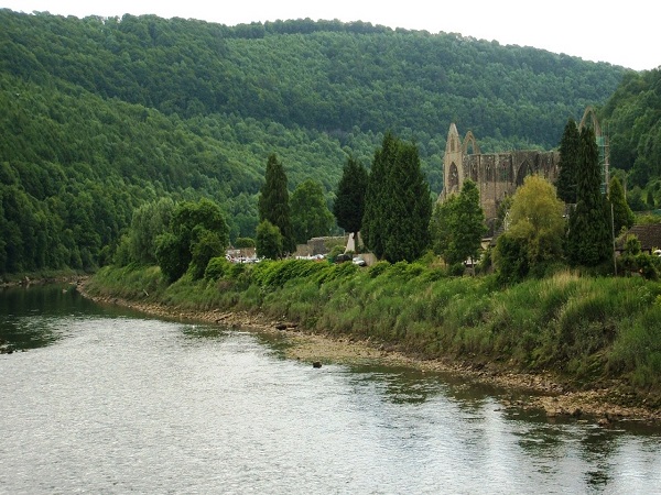 Role Of Nature In Tintern Abbey