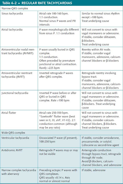 regular rate tachycardias