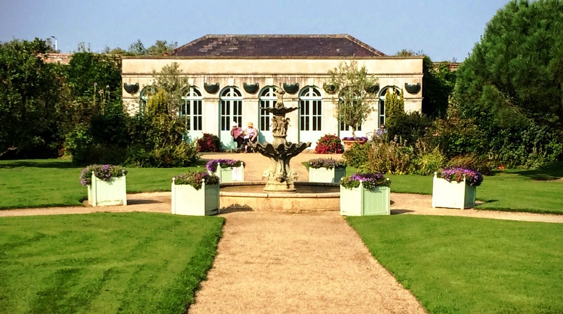 Patrick Comerford Fading summer sunshine and fading sunflowers in a