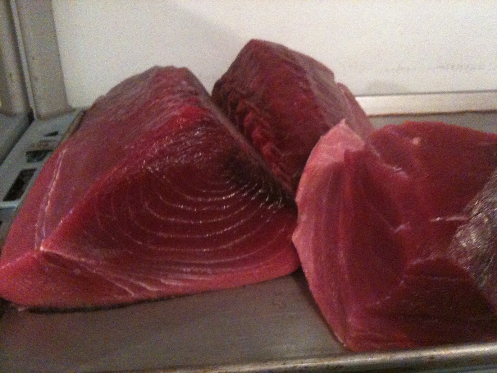 The Edible Ocean: Bluefin Tuna Swims On