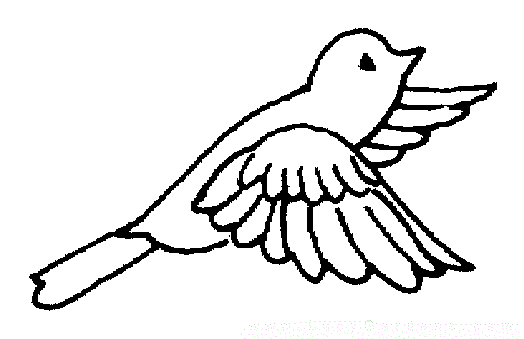 baby birds coloring pages - photo #40