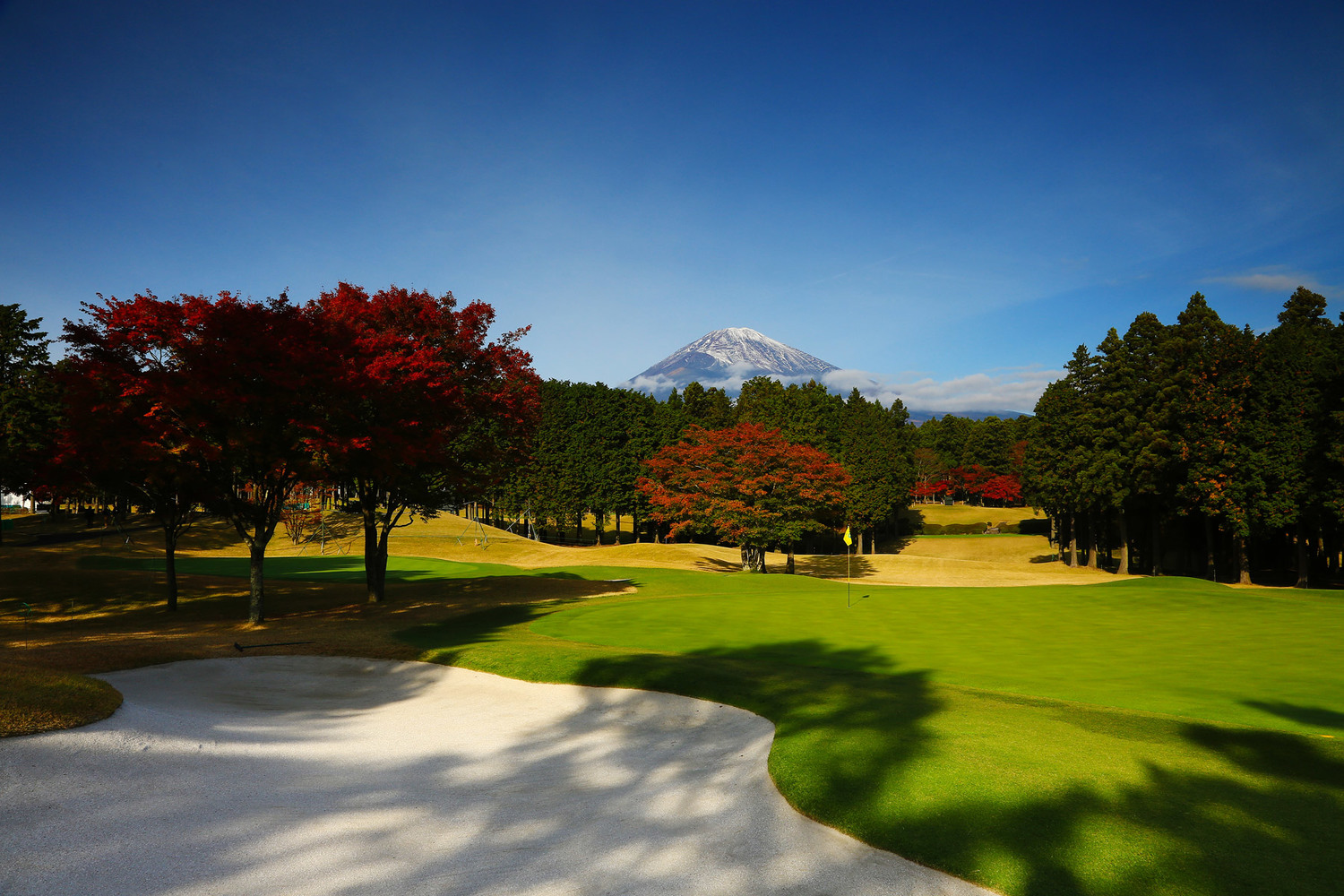 japan golf tour results