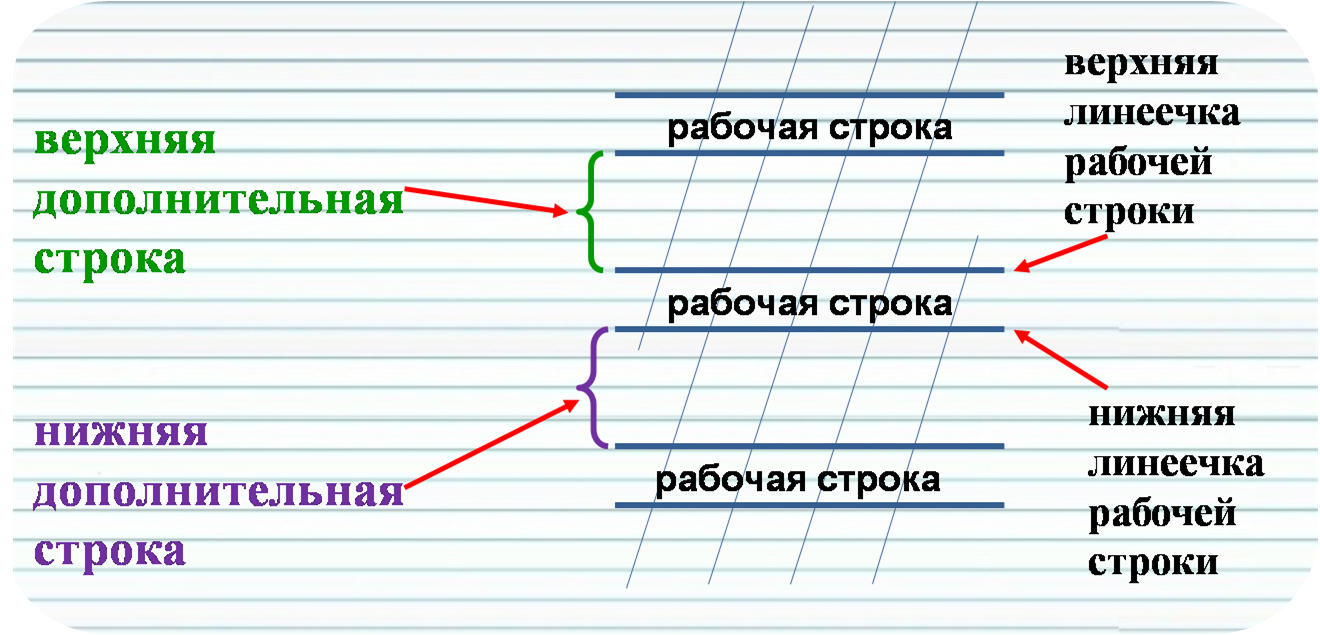 Относились к чистым линиям. Рабочая строка. Тетрадь в рабочую строку. Верхняя линия рабочей строки. Верхняя линейка рабочей строки.