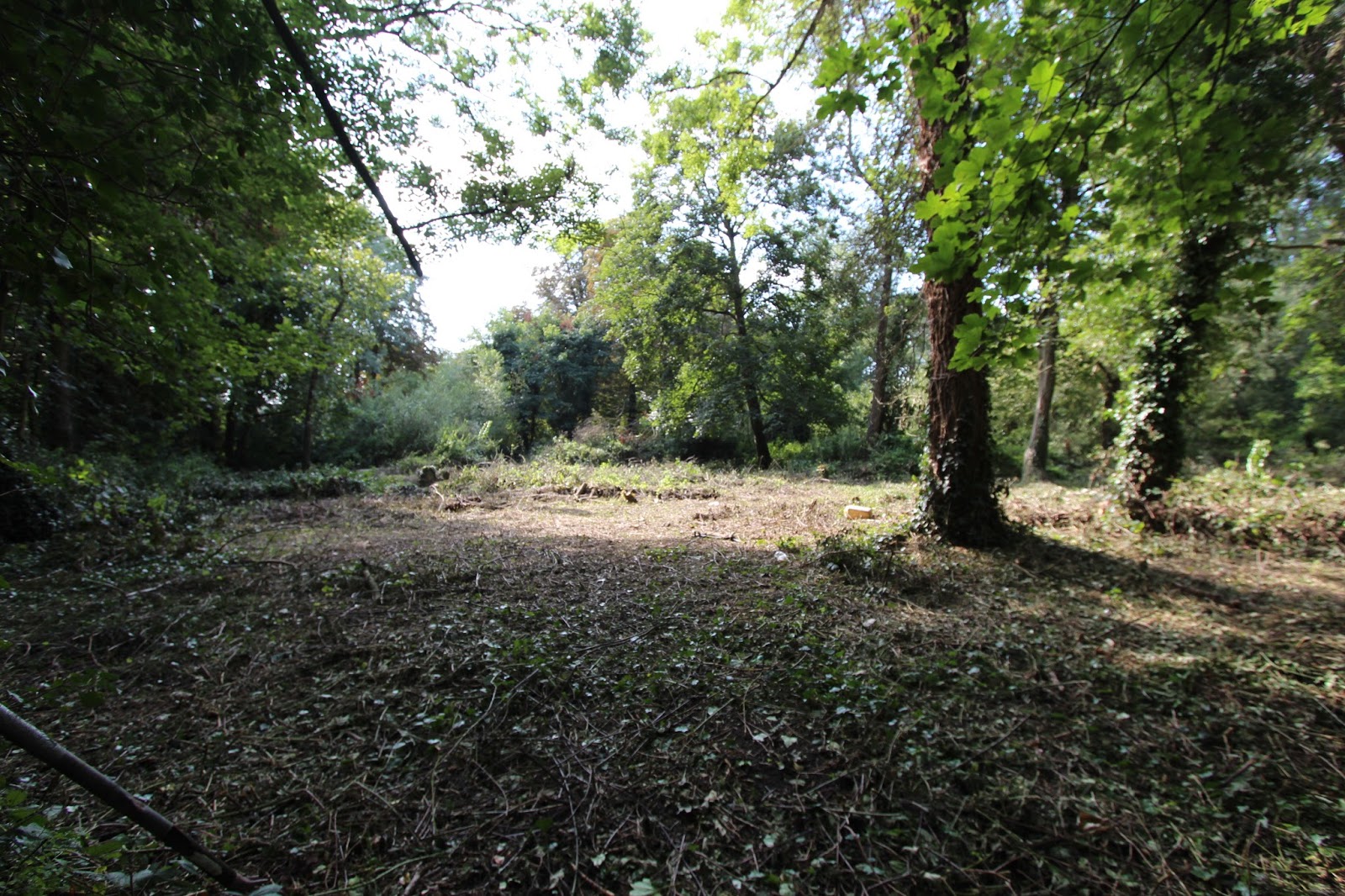 Unique Riverside Development Land For Sale Thames Development Land