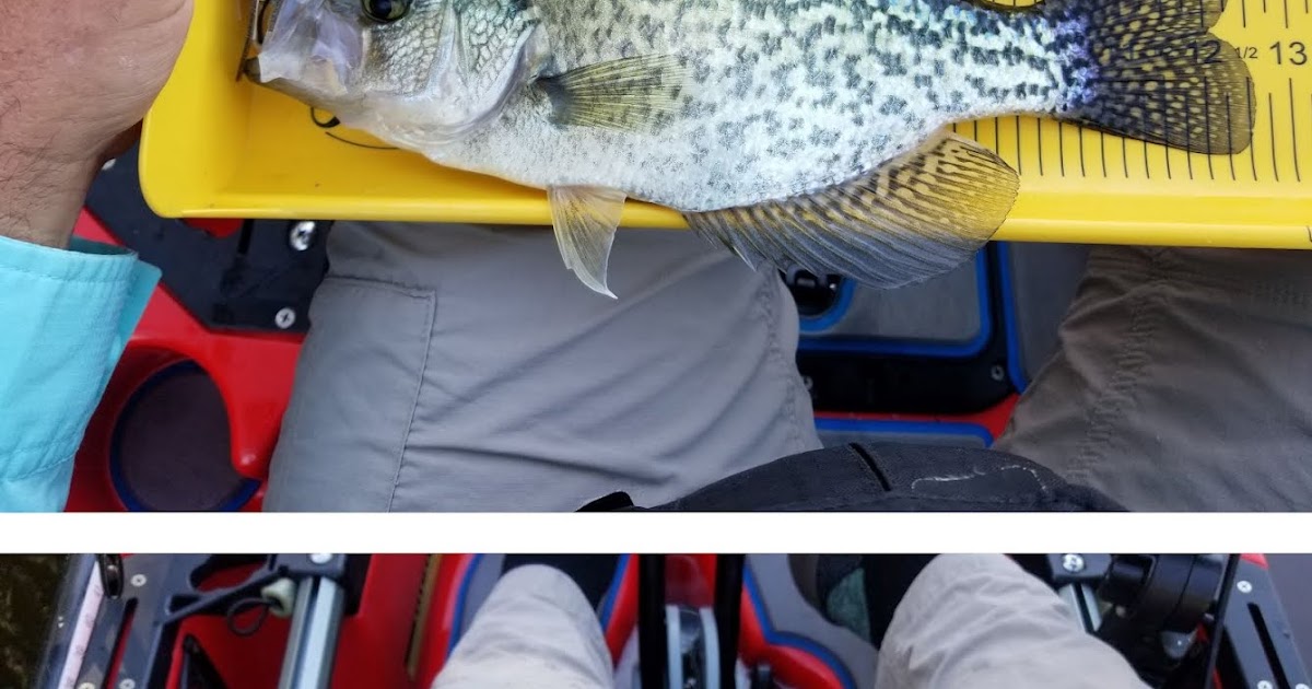 ronald jenkees try the bass ronald jenkees try the bass