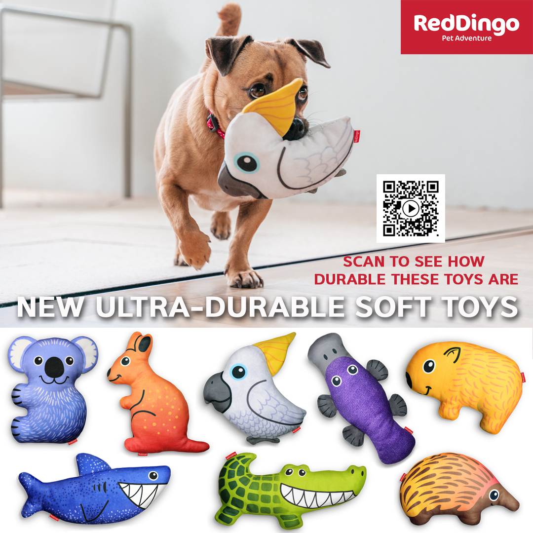 25 Christmas Gift Ideas for Pampered Dogs Australian Dog Lover