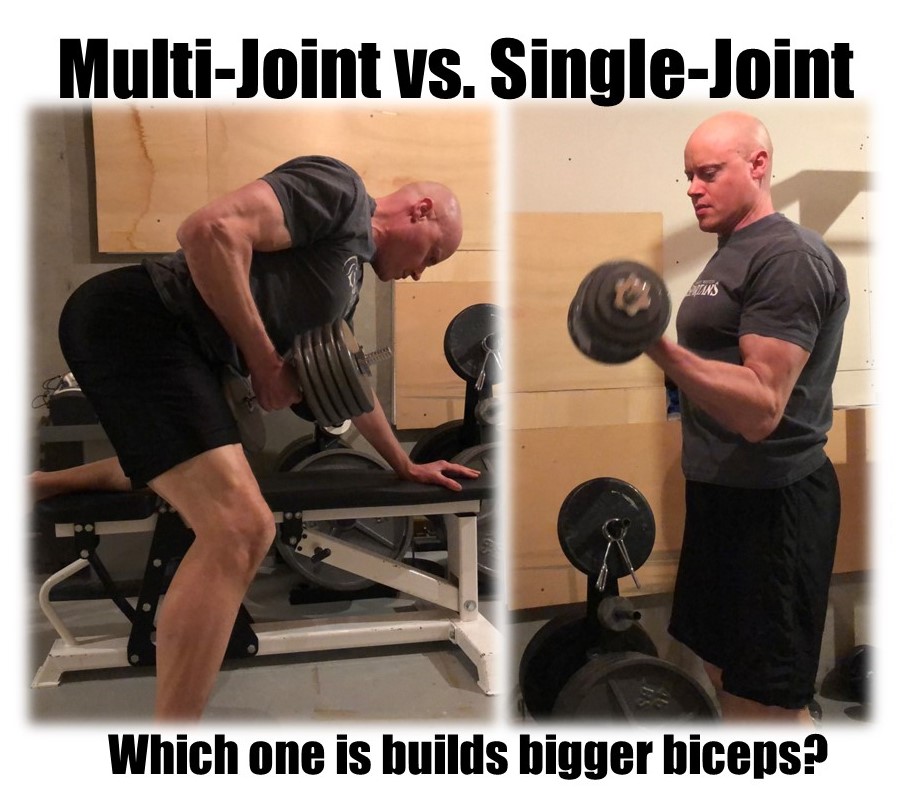 Andrew Heming's Blog Multi vs. Single Joint Exercises for Building
