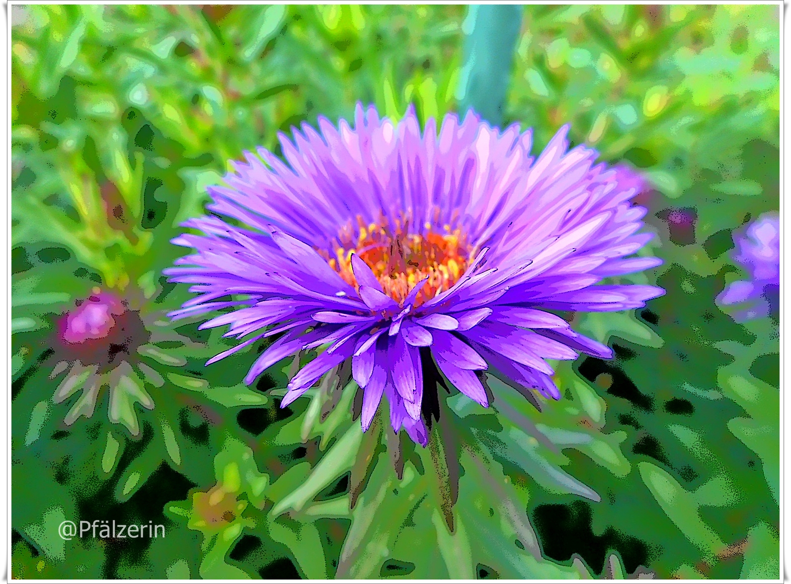 Sommerbluten Und Wie Wichtig Die Sonne Fur Das Gemuse Ist Achims