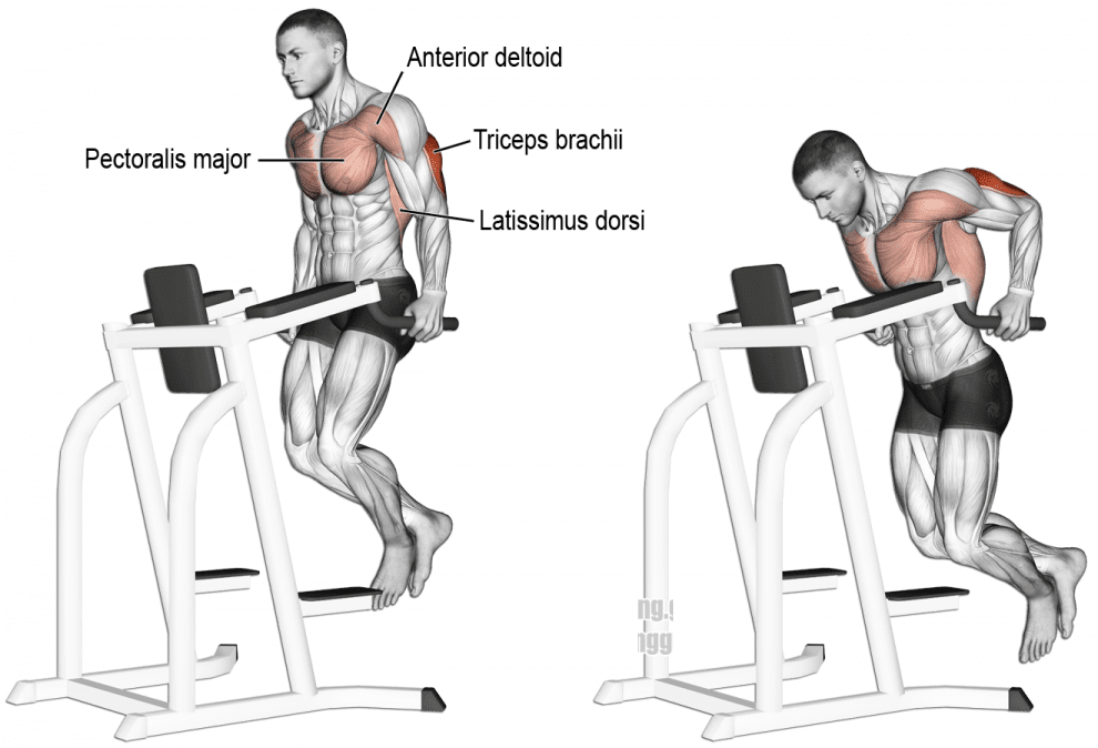 How To Do Proper Upper Chest Workout 7 Best Upper Chest Exercises